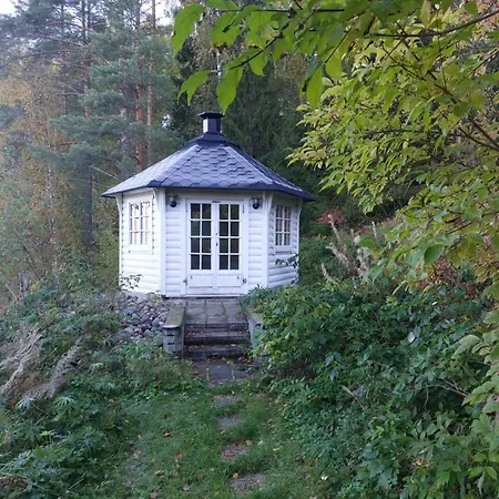 Vuorenhelmi * Rutalahti